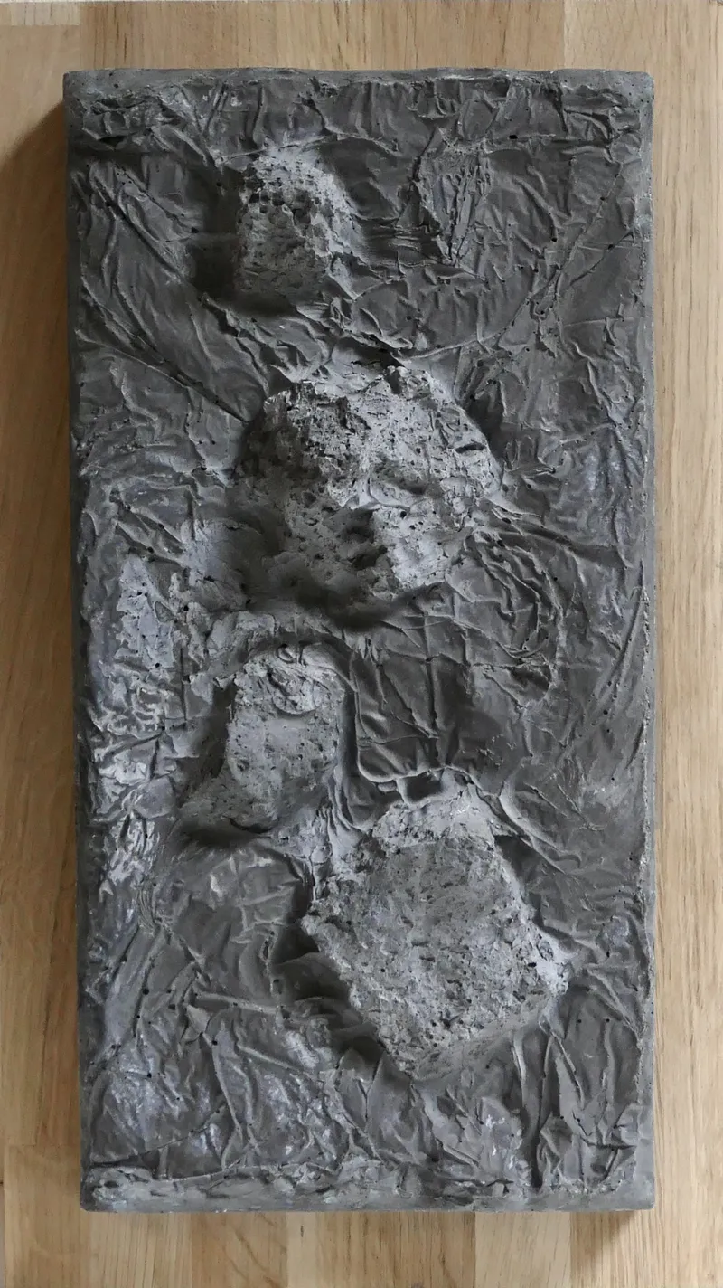 Comme des fossiles, moulage en béton sur plaque de chêne