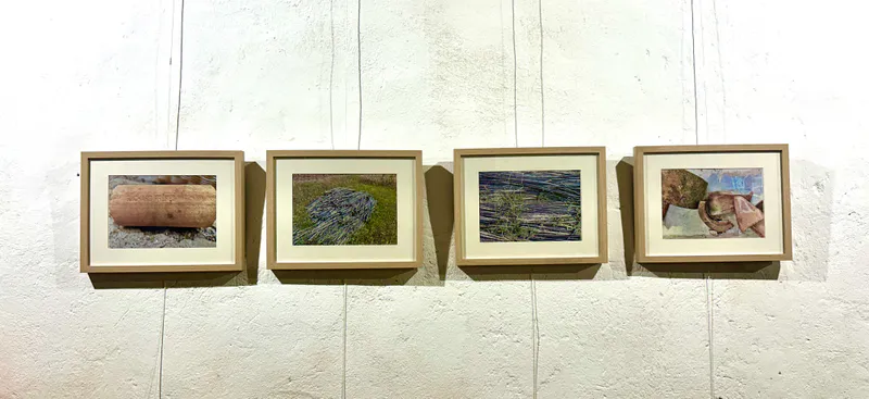 Photographies des drains et des tuyaux d’irrigation, accrochées au Domaine